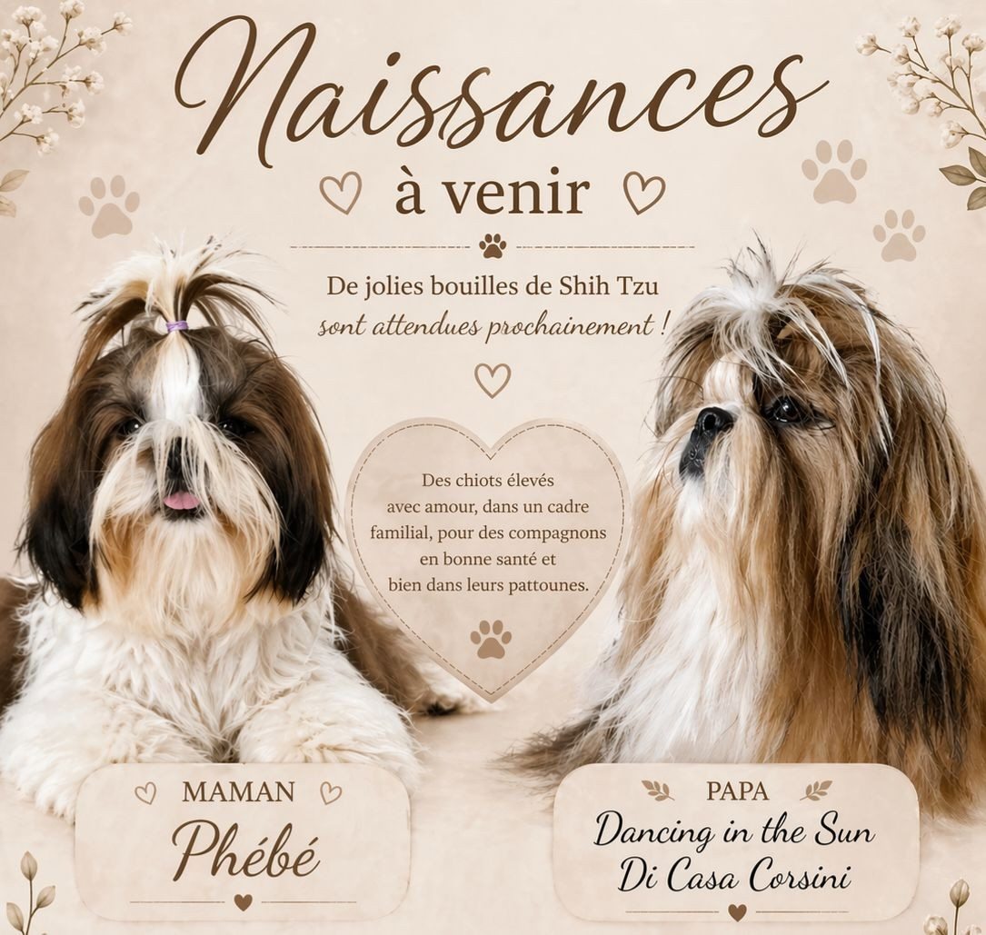 Les bébés sont nés... bientôt les photos individuelles